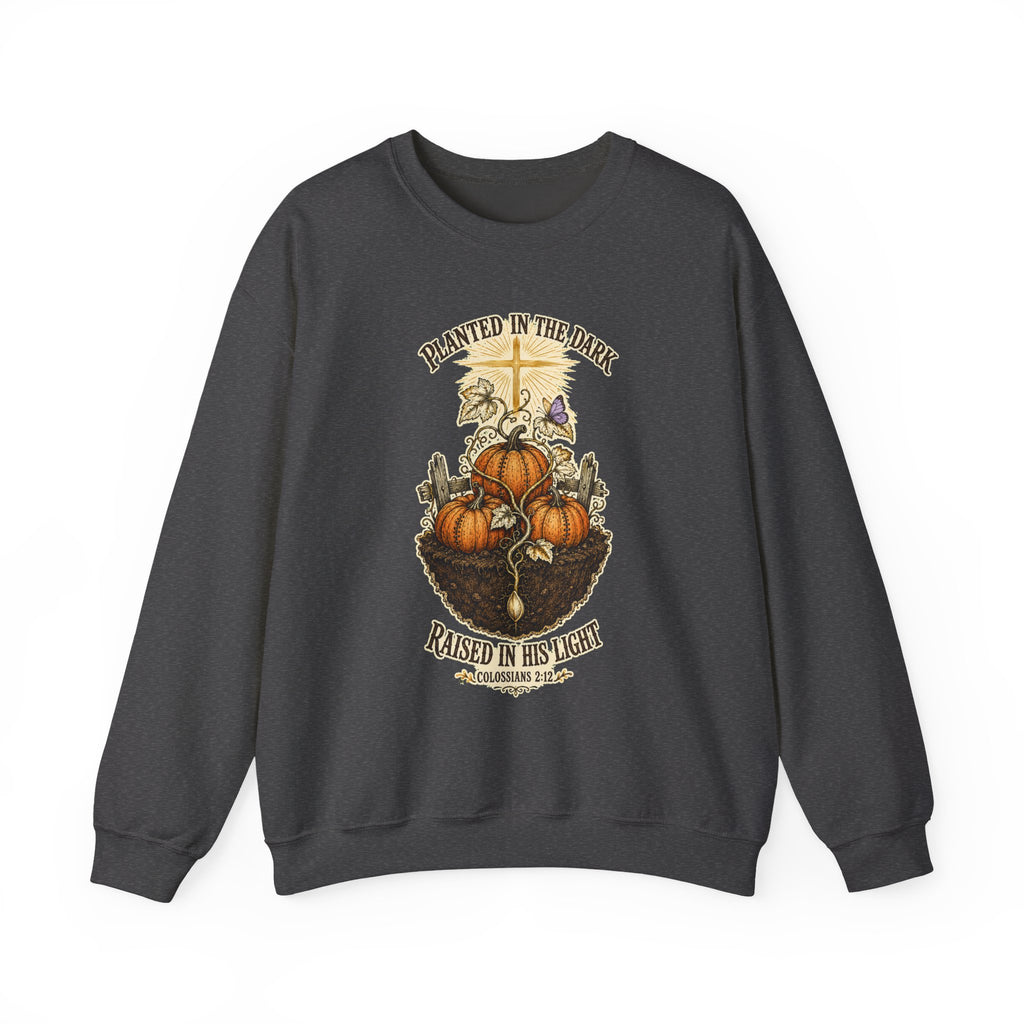 Autumn Pumpkin Crewneck Sweatshirt — "Planted in the Dark, Raised in His Light" Fall Christian Pullover